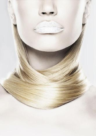 Porcelain Elegance