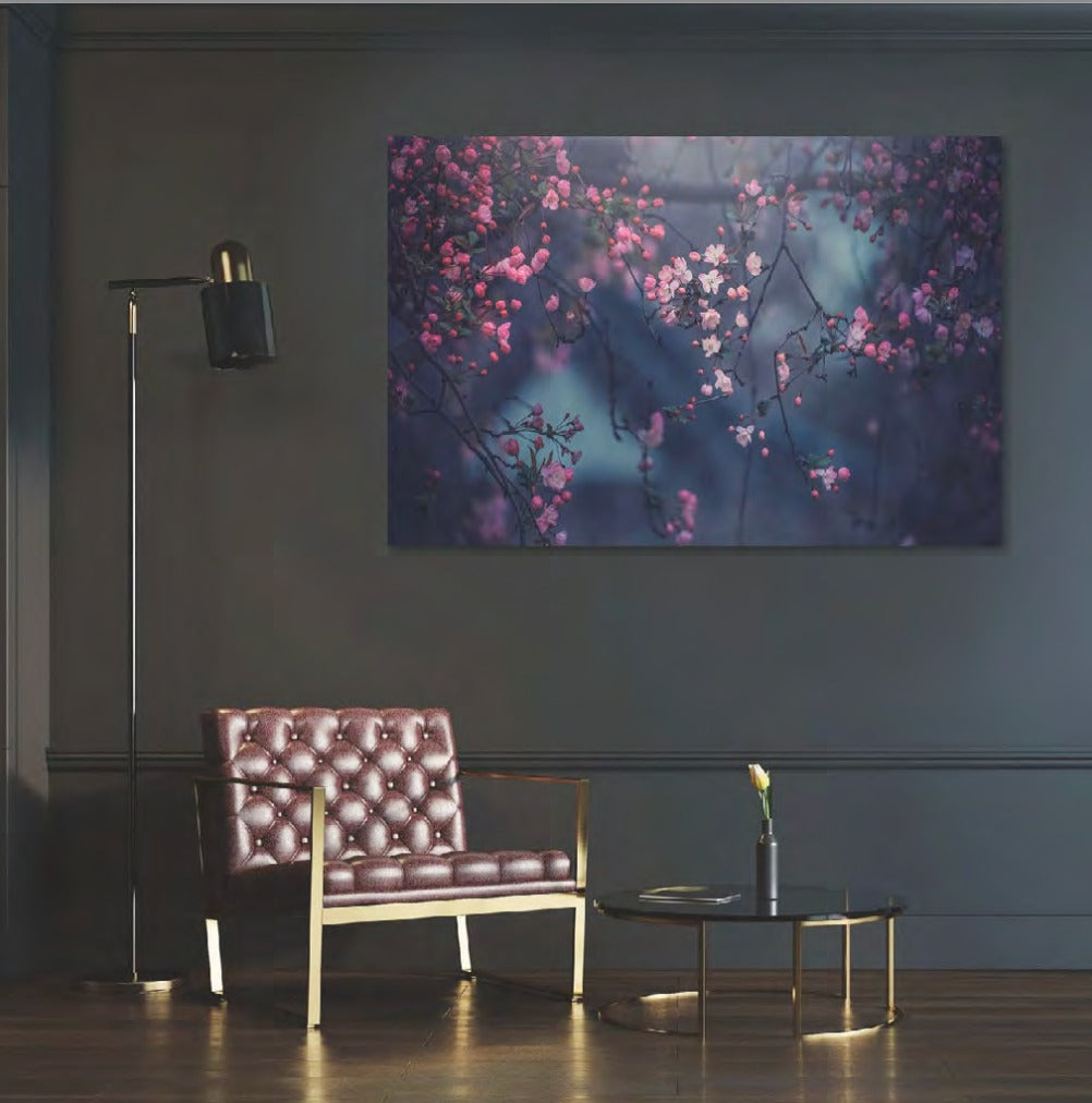 Cherry Blossom Beauty
