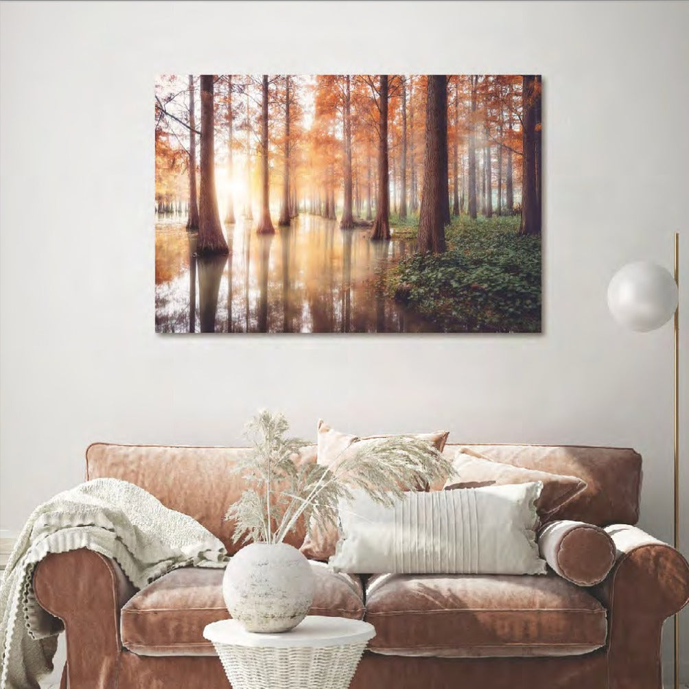 Forest Reflection